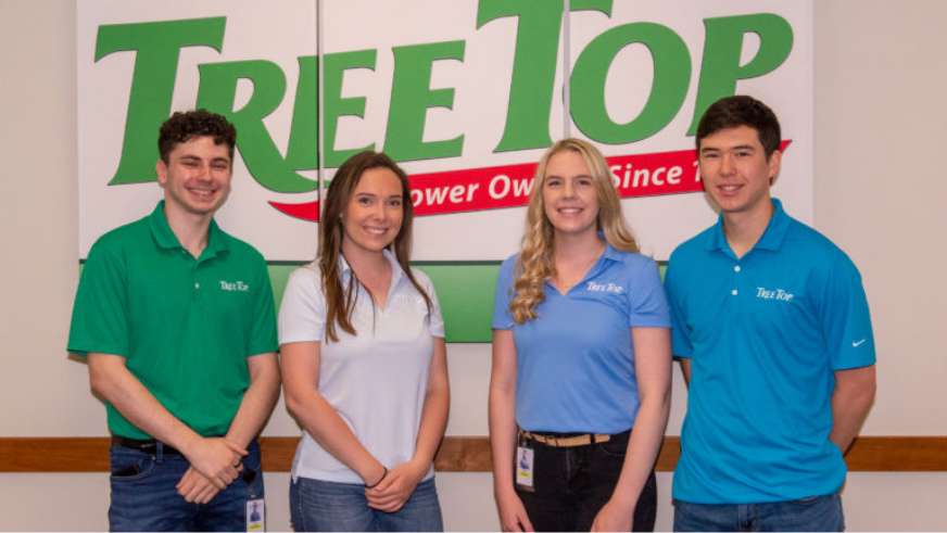 A group of interns at Tree Top