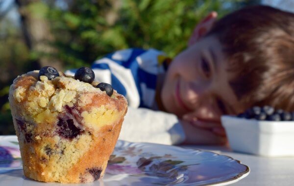 Blueberry Muffins